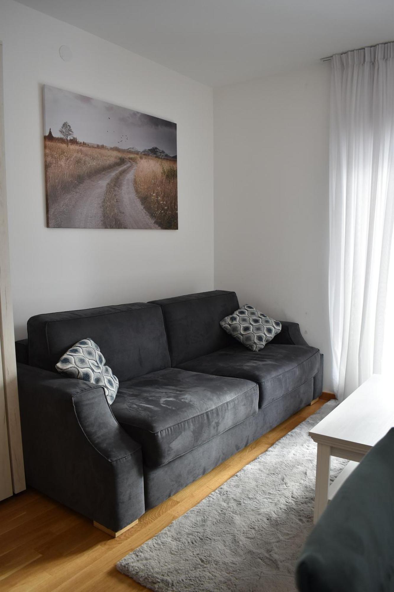 Vila Irina Kopaonik - Apartman Jovana Exterior foto